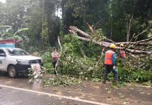 Angin Kencang Terjang HST, Sejumlah Fasilitas Umum Rusak