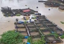 Keramba Ikan Larut di Sungai dari Siring Menara Pandang Hingga Jembatan Banua Anyar