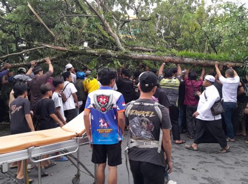 Ngeri! Pohon Raksasa Tumbang di Depan Masjid Al Karomah Martapura, Satu Keluarga Tertimpa