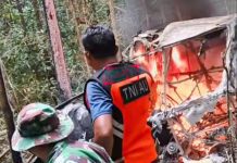 Pilot Pesawat Pelita Air PK-PAA yang Jatuh di Long Bawan Ditemukan Meninggal Dunia