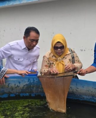 Budidaya Ikan Haruan Jadi Harapan Baru Petani Tabalong, Komisi II DPRD Kunjungi Balai Air Tawar Pulang Pisau