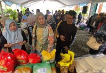 Harga Cabai di Kalsel Turun, Beras 18.000 Ton Aman Hingga Ramadhan