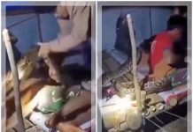 NGERI! Pekerja Bor di Konawe Utara Nyaris Tewas Dililit Piton Besar Saat Tidur di Gubuk, Bagini Kondisinya