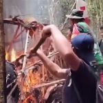 VIRAL! Video Evakuasi Pilot Pesawat Pengangkut BBM yang Jatuh dan Terbakar di Pegunungan Krayan Perbatasan RI–Malaysia