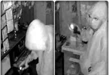 Aksi Maling Terekam CCTV di Paringin, Gas LPG hingga Proyektor Raib, Pemilik Toko Rugi Jutaan
