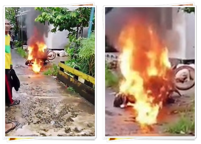 motor terbakar0