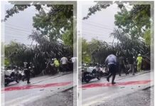 Tertimpa Pohon di Tapin, Eks Kasatlantas Polres Banjarbaru Wafat di Rumah Sakit, Polda Kalsel Berduka