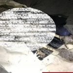 Tunggu Waktu Sahur, Warga Kaget Temukan Mayat Tanpa Kepala di Pesisir Pantai Pulau Sembilan Kotabaru