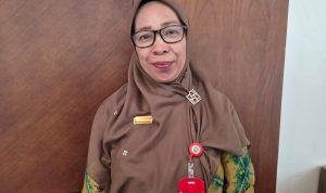 Kasus DBD Melonjak di Kalsel, ini Penjelasan Kadinkes Tanah Laut