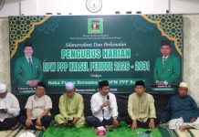 H Abdul Hadi Nahkodai DPW PPP Kalsel Masa Bakti 2026-2031