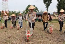 Polres HST Ikuti Pencanangan Sentra Jagung Kalsel, Lanjut Tanam Jagung Serentak Kuartal I Tahun 2026