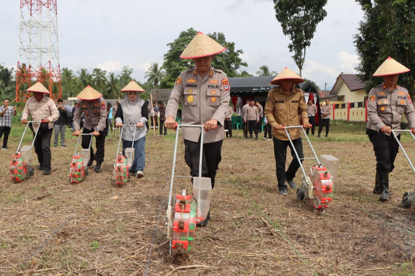 Polres HST Ikuti Pencanangan Sentra Jagung Kalsel, Lanjut Tanam Jagung Serentak Kuartal I Tahun 2026