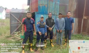 Rescue Damkar Tanah Laut Selamatkan Anjing yang Jatuh ke Sumur