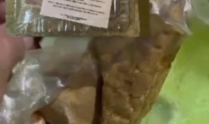 Menu MBG Diduga Tak Layak di Kasarangan HST, SPPG Akui Kelalaian dan Siap Ganti