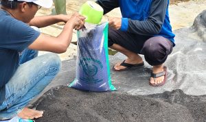 BUMDes Sumber Mas Inovasi Produksi Pupuk Kohe Ayam, Tambah Nilai Ekonomi Desa