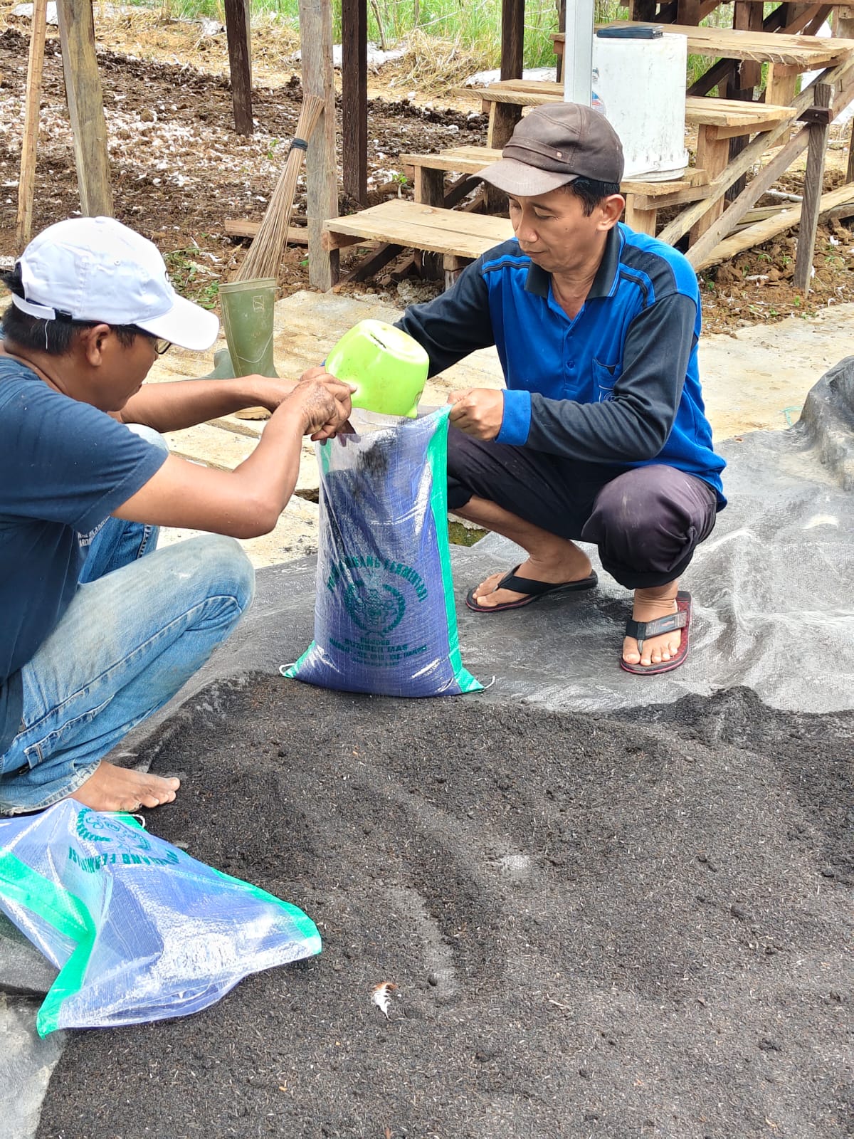 BUMDes Sumber Mas Inovasi Produksi Pupuk Kohe Ayam, Tambah Nilai Ekonomi Desa