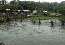 Produksi Patin dan Nila Dongkrak Perikanan Budidaya Banjar, Jadi Tertinggi di Kalsel
