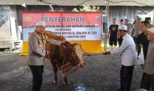 Tak Hanya Amankan Haul, Polda Kalsel Sumbang Sapi 1,2 Ton dan Dirikan Dapur Umum untuk Jemaah