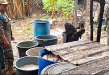 5 Karung Bahan Baku Tuak Diamankan Sat Pol PP Banjarbaru dari Pasar Yon