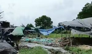 Bau Busuk di Jalan Tol Lingkar Selatan, Tempat Buang Bulu Ayam?