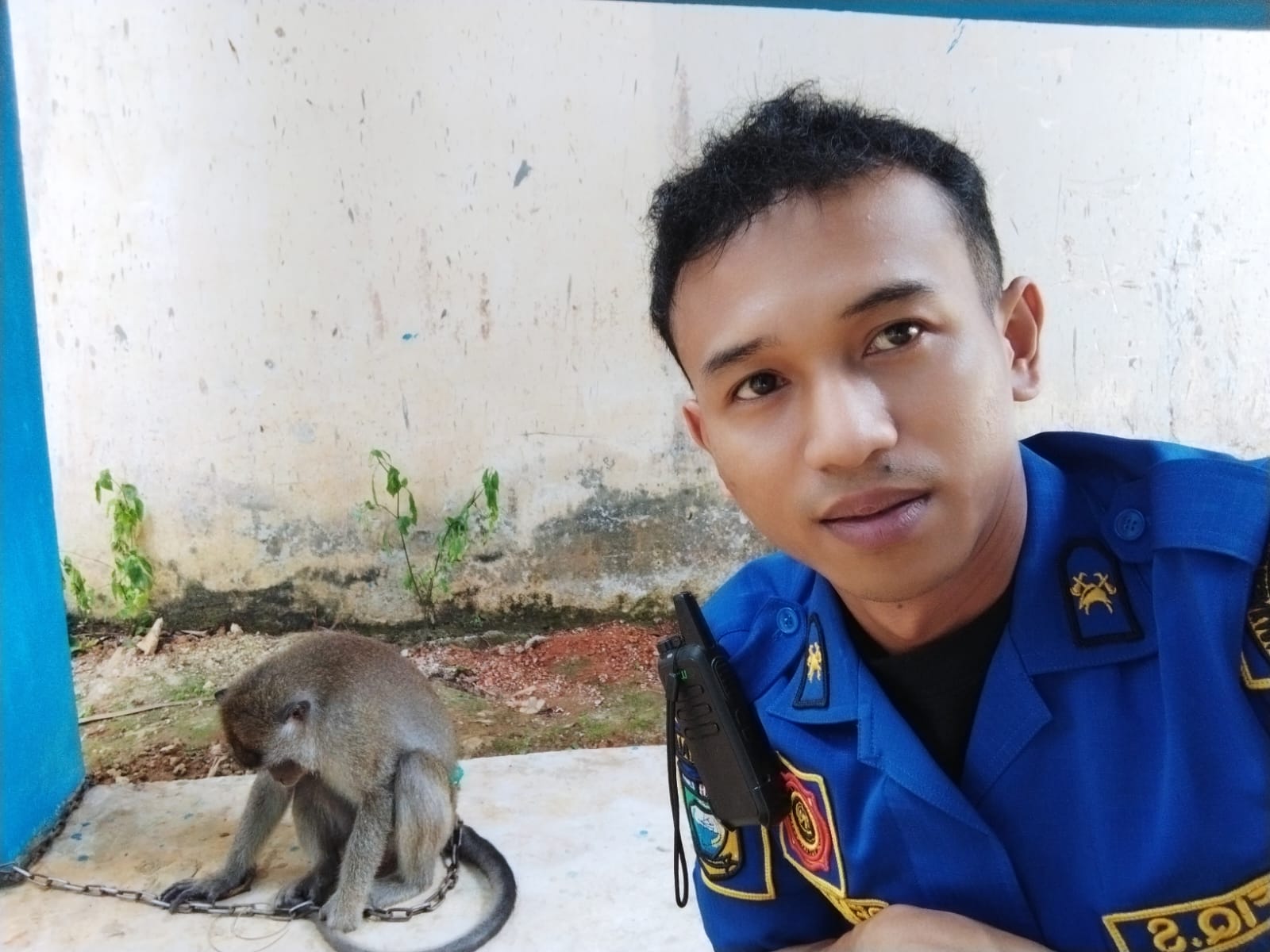 Sering Serang Anak-anak