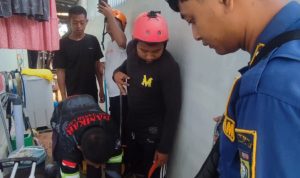 Teror Kobra Hitam di Griya Hamparan, Tim Damkar Tala Tak Beri Ruang Melata di Rumah Warga