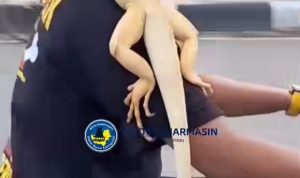 Aksi Iguana Santai Ikut Berkendara di Jalanan Kota Banjarmasin Jadi Sorotan Warganet