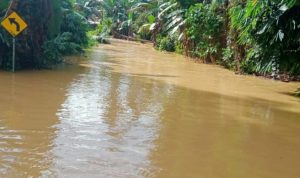 Banjir Luapan Sungai Rendam Desa Kaong  Tabalong