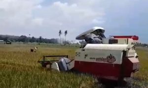 WhatsApp Image 2026-04-05 at 14.45.27