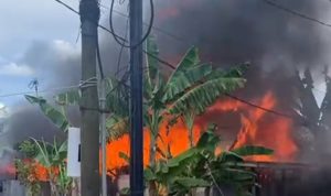 WhatsApp Image 2026-04-07 at 15.08.52