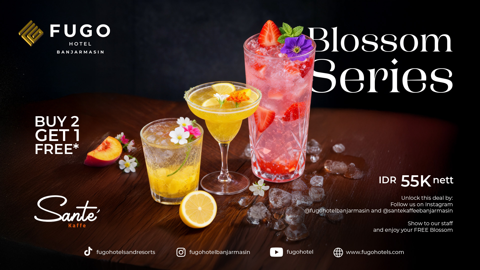 Blossom Series TV.jpg