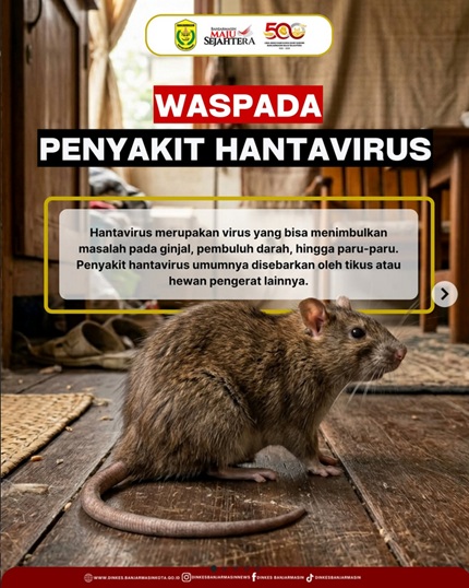 Hantavirus