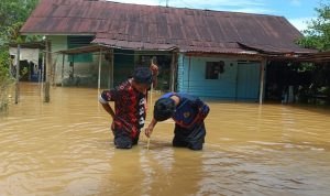Petugas BPBD dan Damkar Hulu Sungai Tengah melakukan pendataan banjir