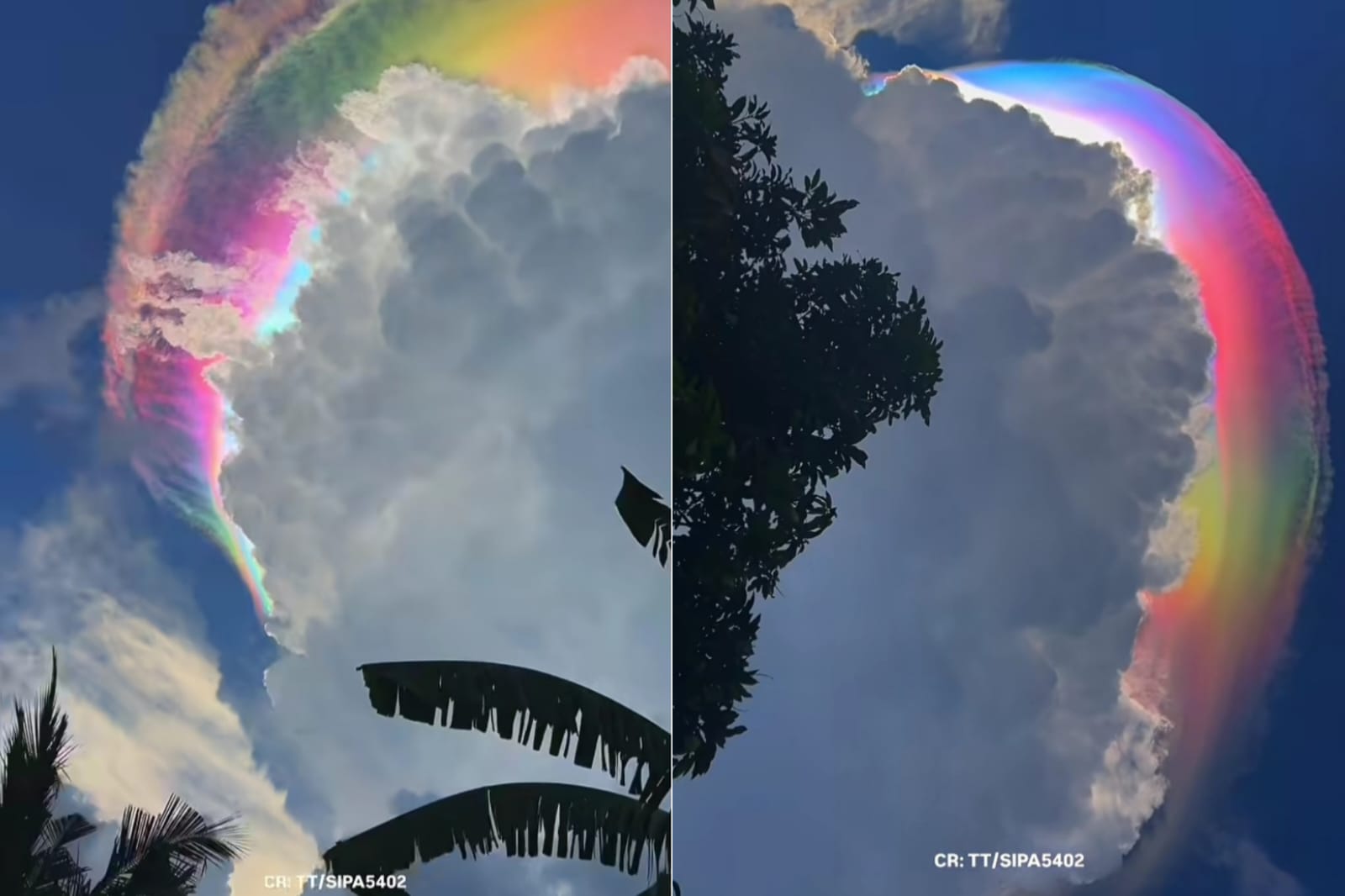 Viral di Somed, Langit Kabupaten Bogor Penuh Warna, Kemunculan Awan Pelangi Bikin Kagum Warganet