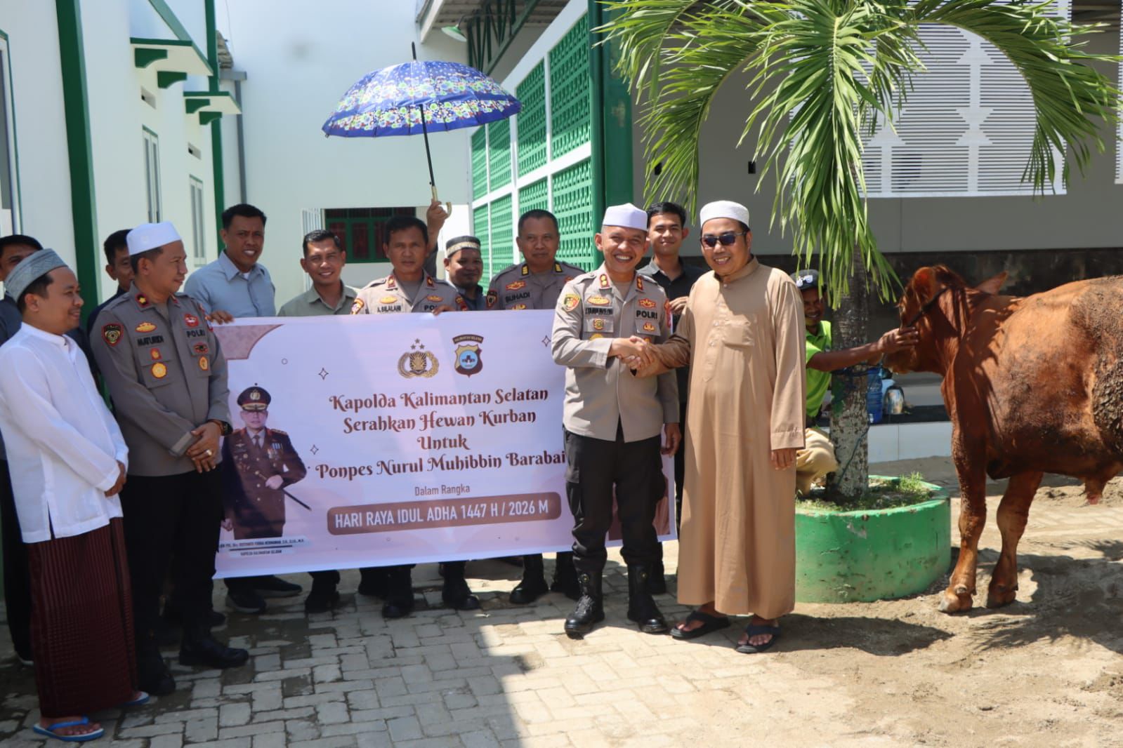 Sambut Idul Adha 2026, Kapolda Kalsel Salurkan Sapi Kurban ke Ponpes Nurul Muhibbin Barabai
