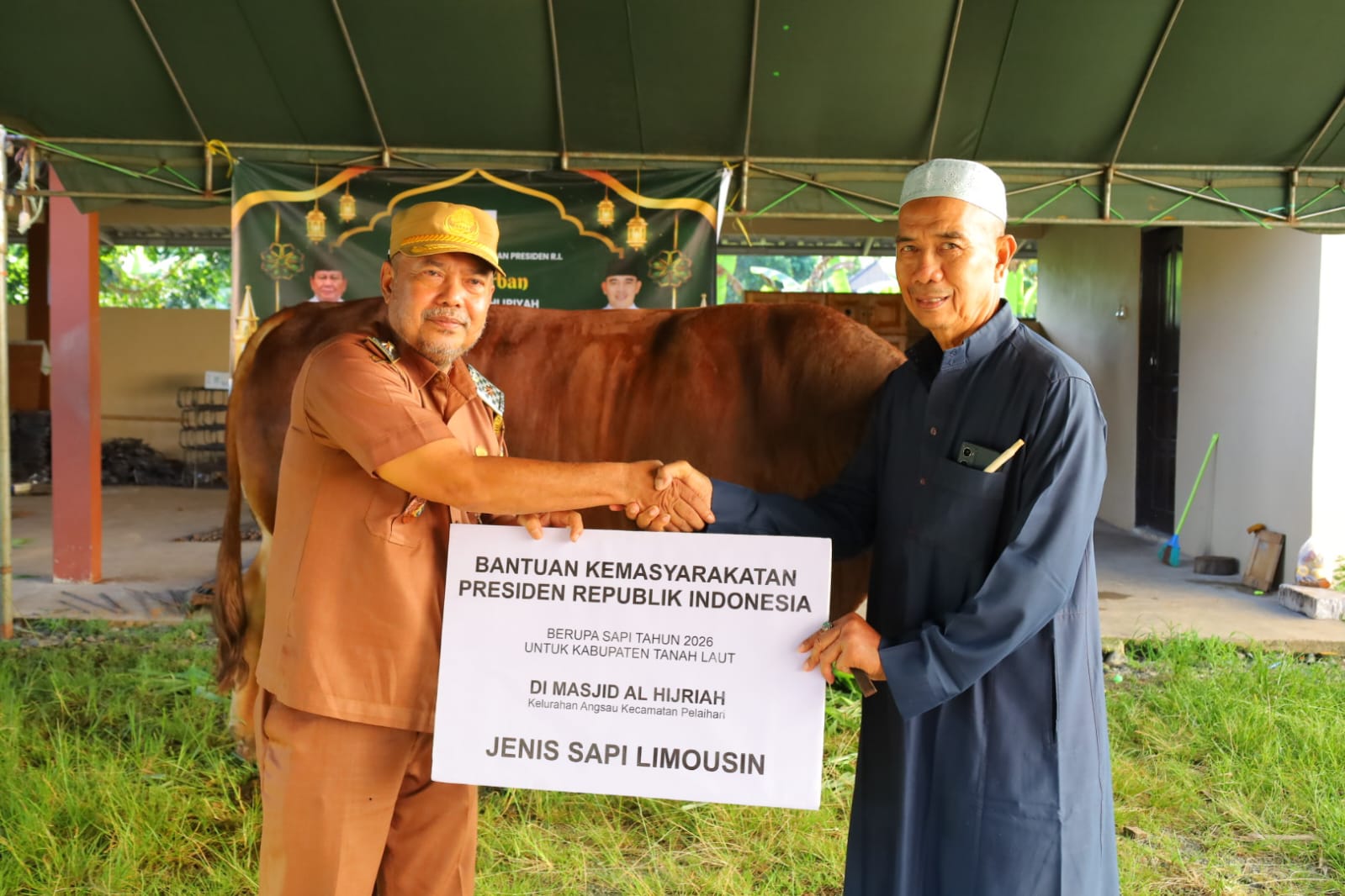 Masjid Al-Hijriyah Angsau Tanah Laut Terima Bantuan Sapi Kurban Limosin Hampir Satu Ton dari Presiden Prabowo