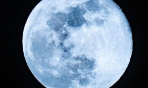 ilustrasi-blue-moon-1778148919637_169
