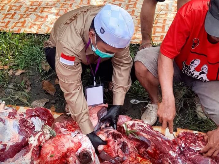 Dinas Pertanian HST Pastikan Seluruh Daging Kurban Idul Adha 2026 di HST Layak dan Aman Dikonsumsi