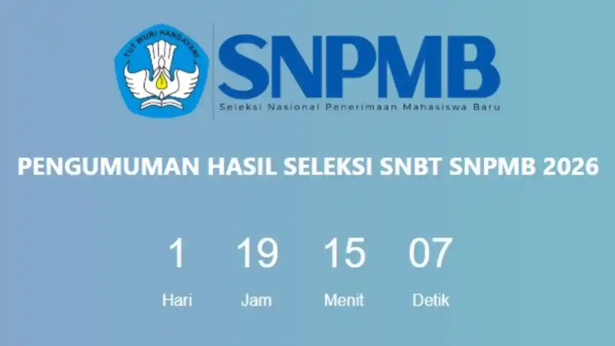 snpmb.id