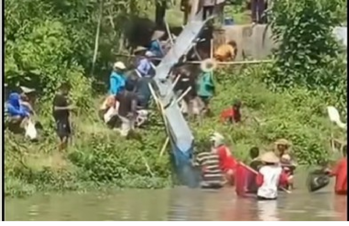 warga berebut ikan
