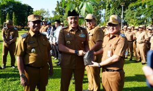 Bibit Pohom Ulin