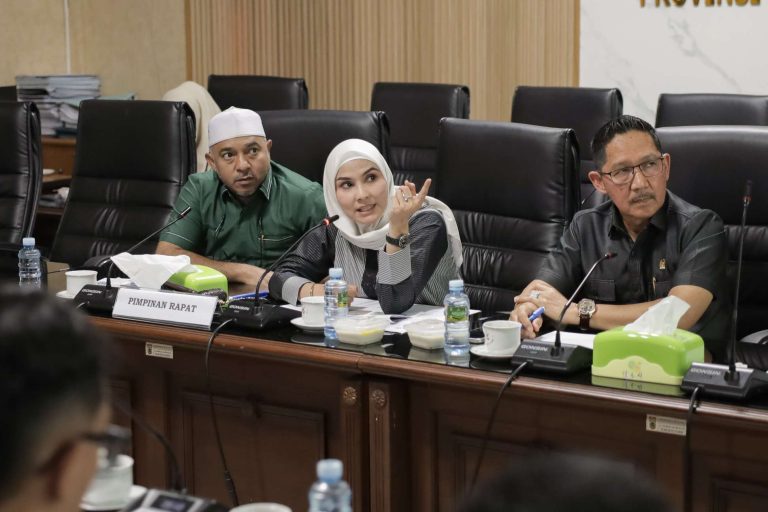DPRD Kalsel Respons Keluhan Warga Terkait Kondisi U-Turn Km. 8 Kertak Hanyar di Kabupaten Banjar