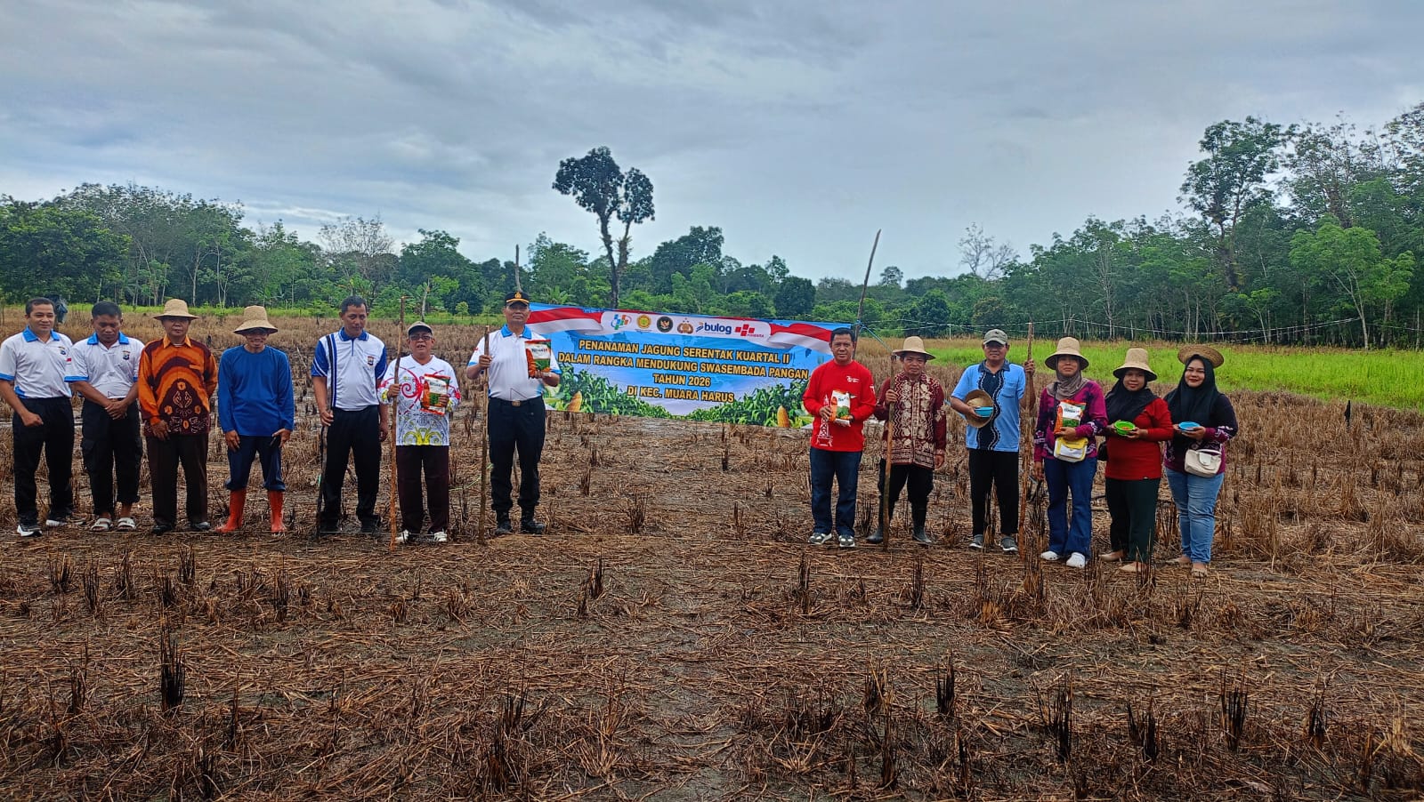 Dukung Swasembada Pangan 2026, Polsek Muara Harus dan Poktan Harapan Tabalong Tanam Jagung di Lahan 1 Hektar