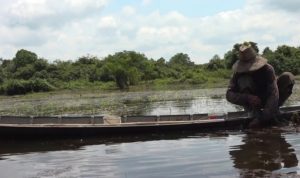 Ilegal fishing