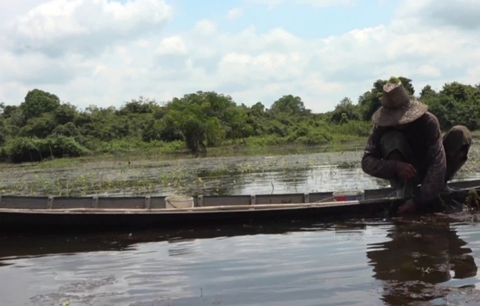 Ilegal fishing