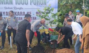 Kapolda Kalsel tanam pohon