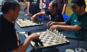 Main catur