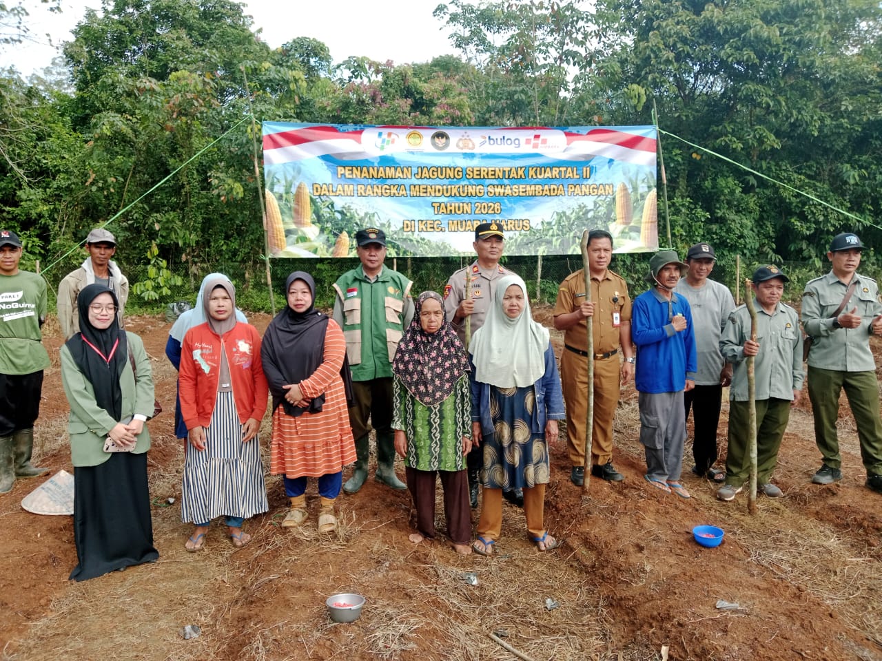 Dukung Swasembada Pangan, Polres Tabalong Tanam Jagung Pakan Serentak di Muara Harus