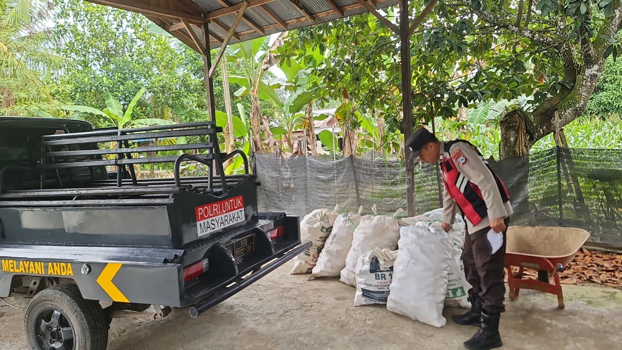 Dukung Ketahanan Pangan, Personel Polsek Muara Uya Bantu Petani Angkut Ratusan Kilogram Jagung ke Fasilitas Pengeringan di Tabalong