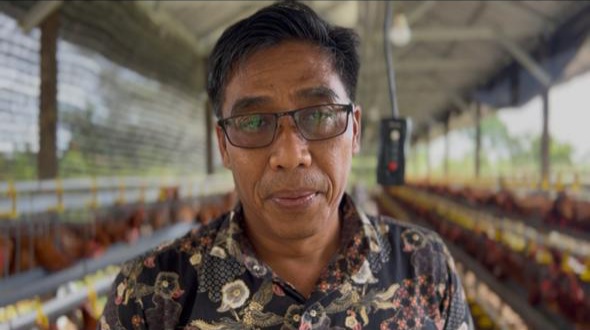 BUMDes Sumber Mas Desa Masingai I Tabalong Raup Omzet Rp30 Juta per Bulan dari Budidaya Ayam Petelur